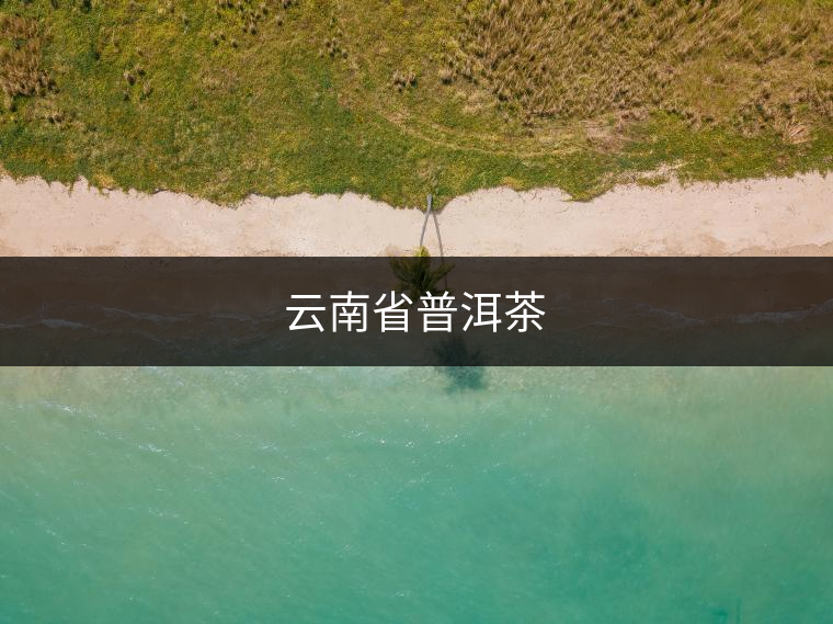 云南省普洱茶