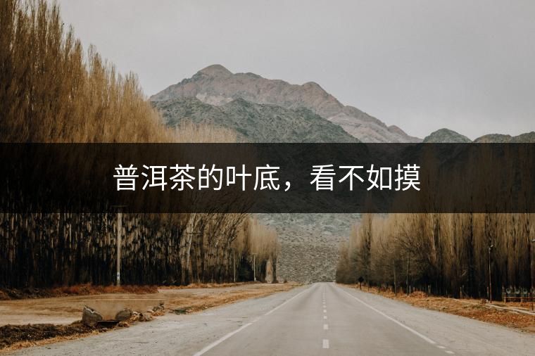 普洱茶的葉底，看不如摸