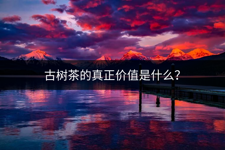 古樹茶的真正價值是什么？