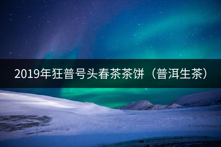 2019年狂普號頭春茶茶餅（普洱生茶）