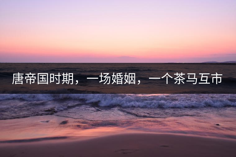 唐帝國時期，一場婚姻，一個茶馬互市，讓這里結束了漢藏對峙。宋代南茶北，西北茶馬司設立，因茶而改變的生活日益凸顯。元代八思巴與忽必烈在這一區(qū)域結盟，為蒙藏兩大民族交往鋪好通衢大道，明代俺答汗與達賴在山海之間追思各自先人，青海人宗喀巴創(chuàng)建的黃教通過蒙、藏兩大領袖的推廣，締造了影響至今的格局。大清經過康、雍、乾三代勵精圖治，滿、藏、蒙各自龐大的疆域第一次完整地統轄在中央帝國的版圖下。