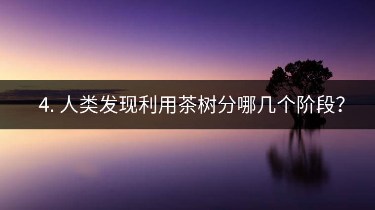 ? 4. 人類發(fā)現(xiàn)利用茶樹分哪幾個階段？