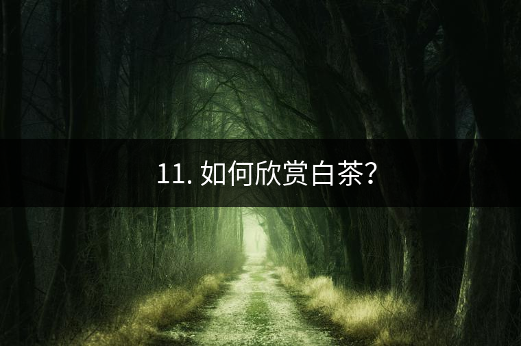 ??11. 如何欣賞白茶？