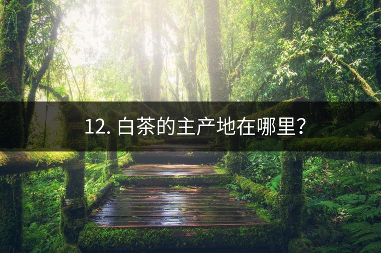 ? 12. 白茶的主產地在哪里？