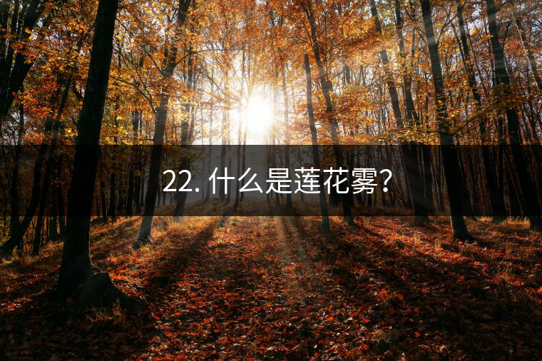 ? 22. 什么是蓮花霧？