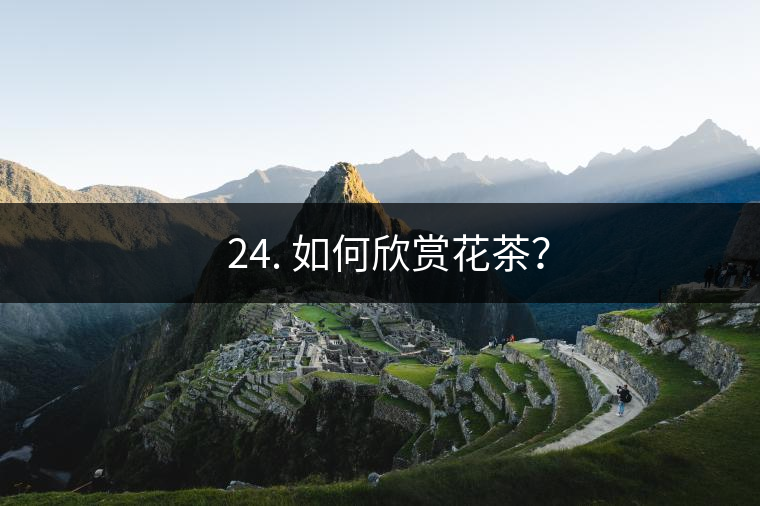 ? 24. 如何欣賞花茶？