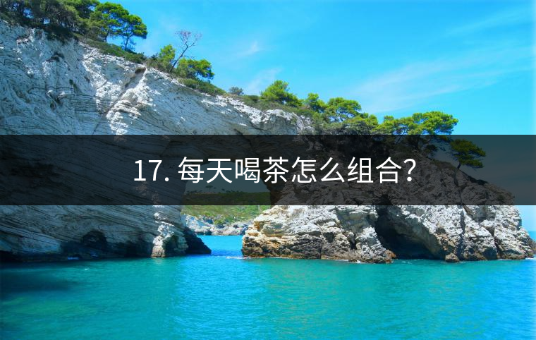 ? 17. 每天喝茶怎么組合？