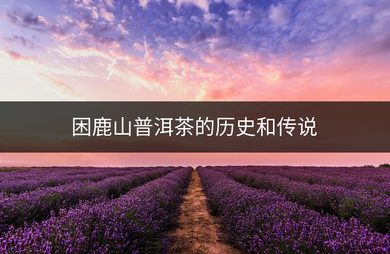 困鹿山的歷史:?美麗的傳說–遺落深山的皇家古茶園 困鹿山的歷史:?美麗的傳說–遺落深山的皇家古茶園