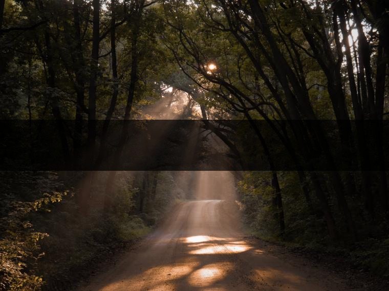 感受村村寨寨的茶俗茶藝