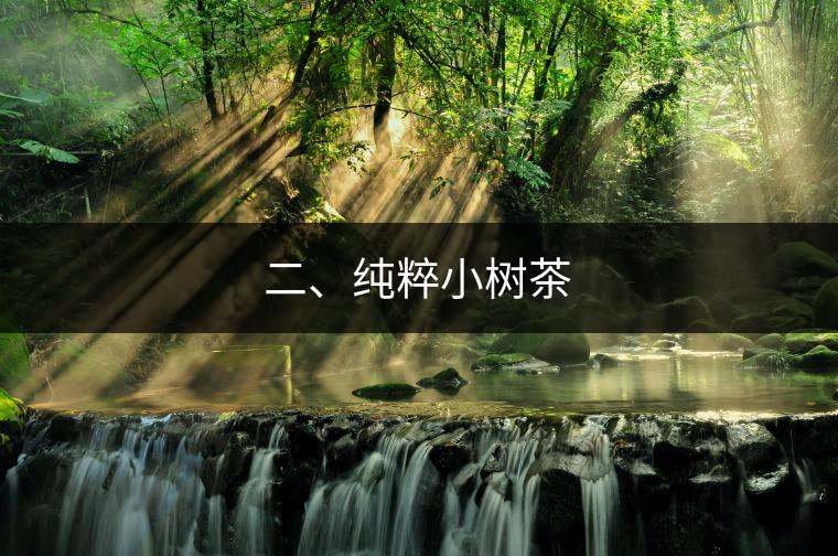 二、純粹小樹(shù)茶