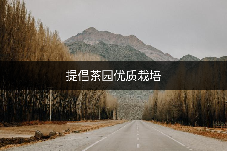 提倡茶園優(yōu)質(zhì)栽培