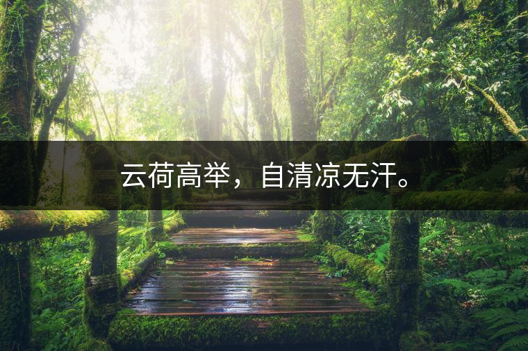 云荷高舉，自清涼無汗。