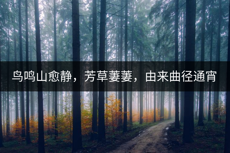 鳥鳴山愈靜，芳草萋萋，由來曲徑通宵漢。