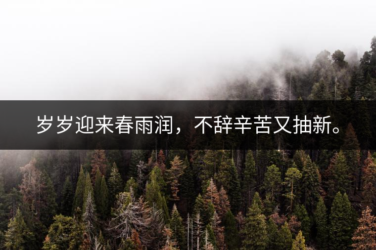 歲歲迎來春雨潤，不辭辛苦又抽新。