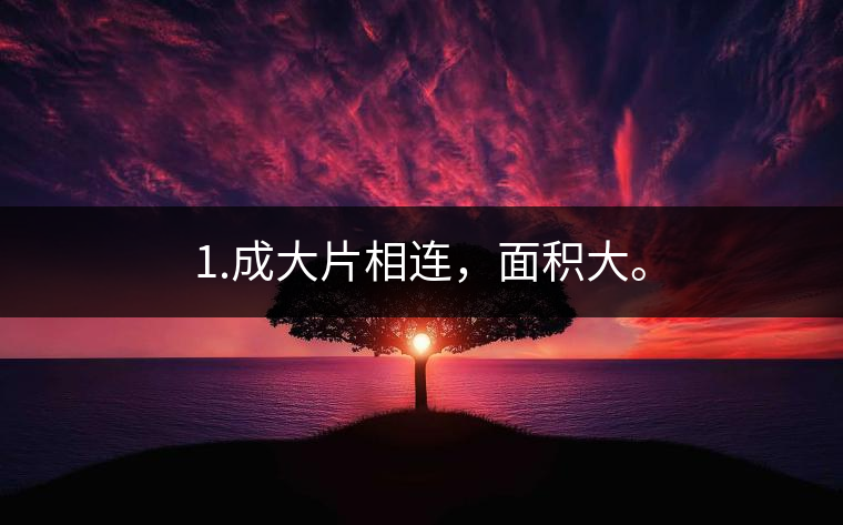 1.成大片相連，面積大。