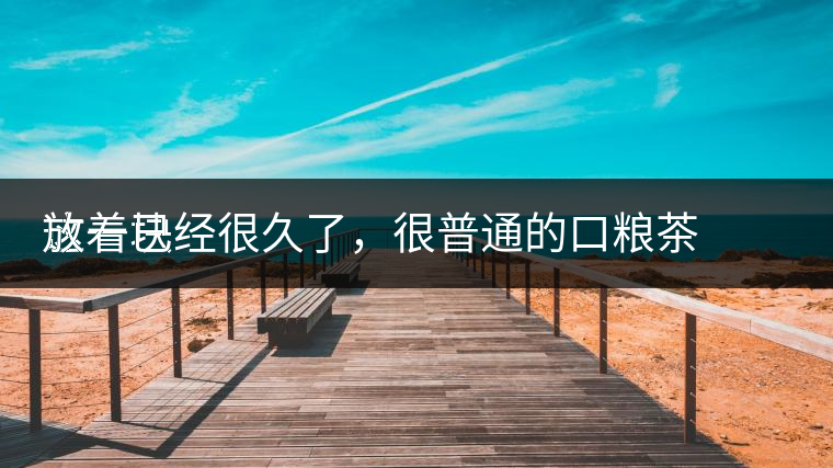 這一塊
放著已經(jīng)很久了，很普通的口糧茶，煙味很重，但回甘也可以，隨意喝喝吧。