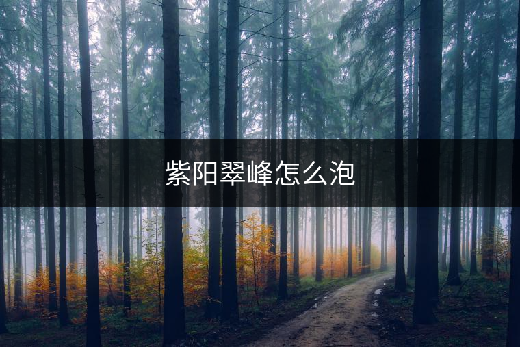 紫陽(yáng)翠峰怎么泡