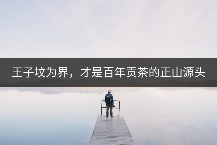 王子墳為界，才是百年貢茶的正山源頭