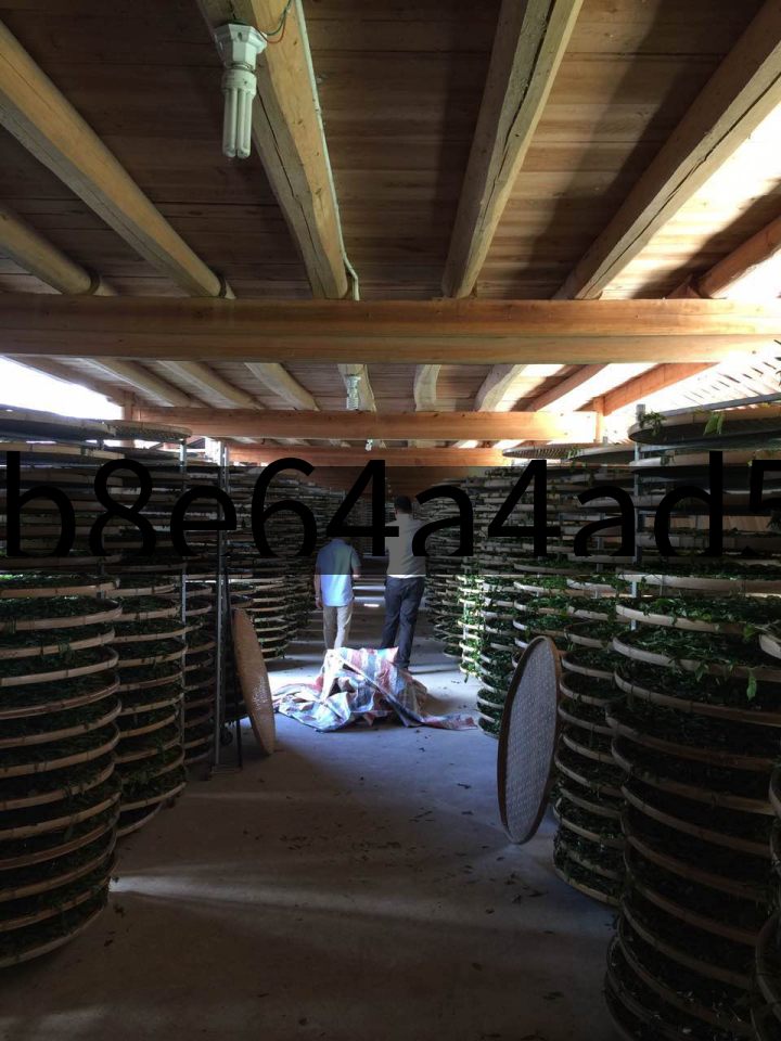 2b8e64a4ad5e4e0a857dc179913465e1 2b8e64a4ad5e4e0a857dc179913465e1