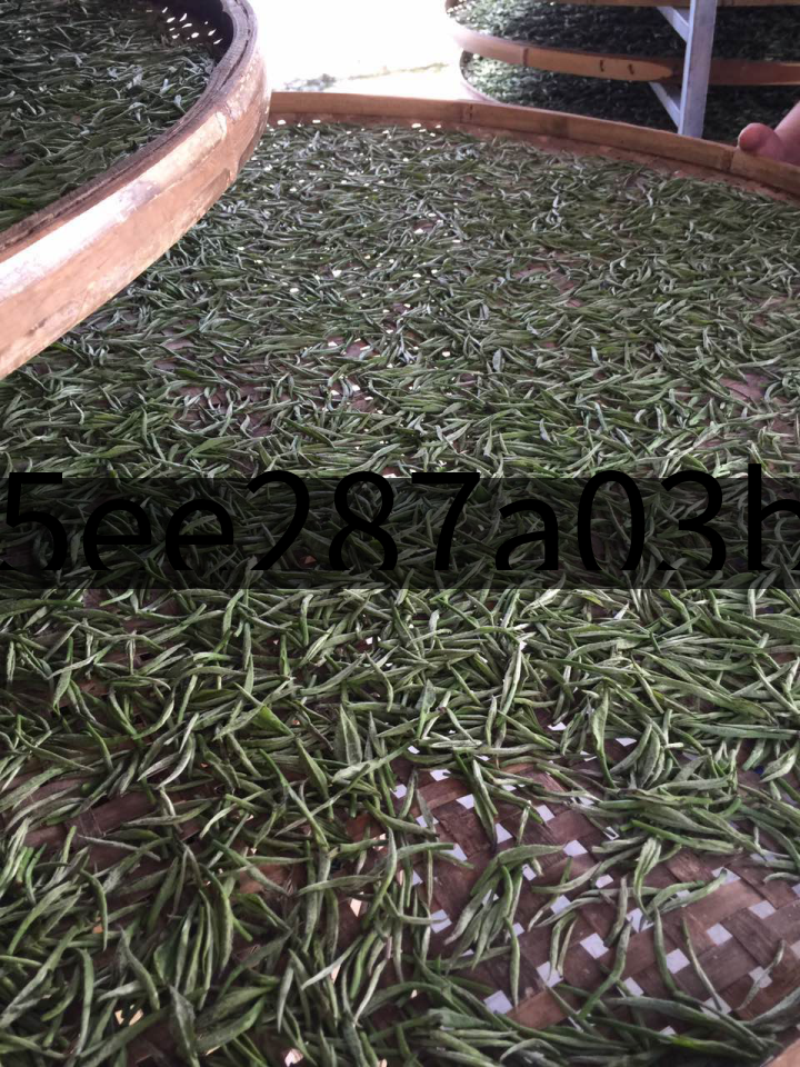 15ee287a03b04872bb9618d1a1f597c6