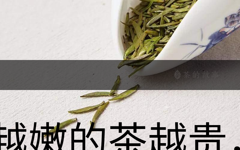 越嫩的茶越貴，但越貴的茶就越好嗎？-1