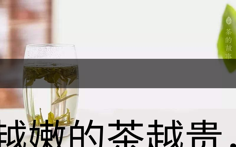 越嫩的茶越貴，但越貴的茶就越好嗎？-2