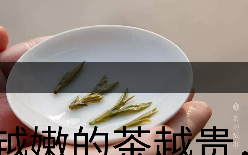 越嫩的茶越貴，但越貴的茶就越好嗎？-3