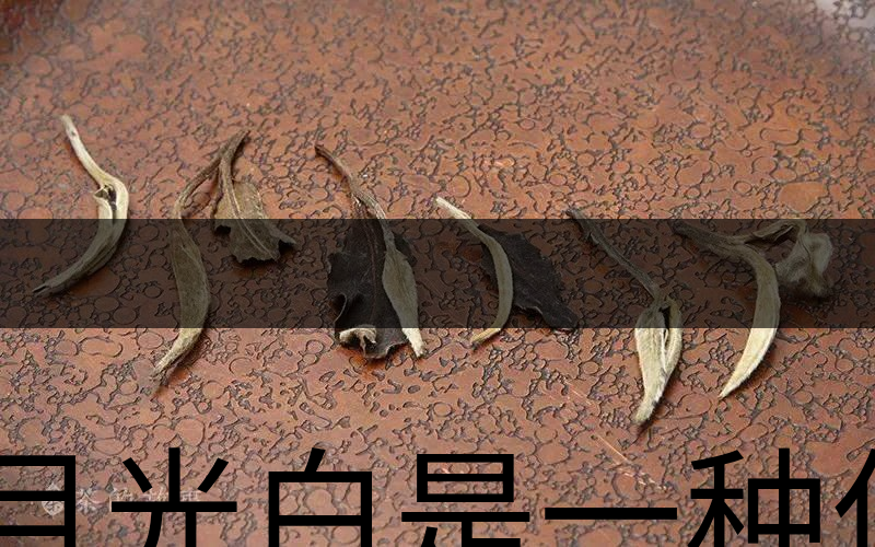 月光白是一種什么茶？-1