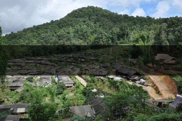 云南省瀾滄縣茶業(yè)概況簡述（第四章）