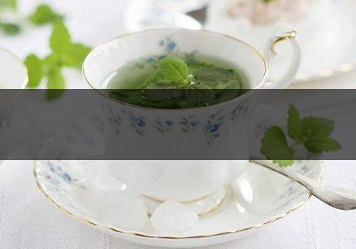 薄荷茶能天天喝嗎-怎么喝減肥最快-1