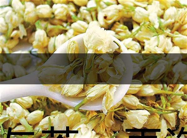花與茶，再造茉莉之都——福州-1