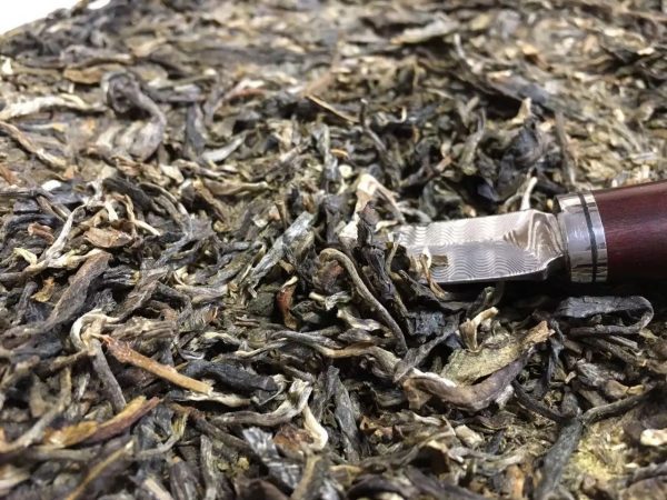 怎么樣泡好落水洞普洱茶？