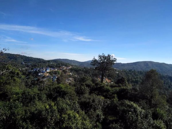 蘭香賀開，甘甜賀開