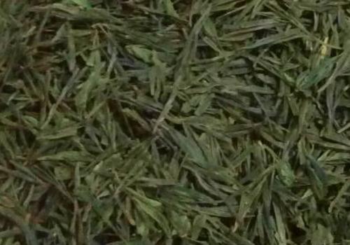 什么是海青茶？沖泡手法詳細(xì)教學(xué)！