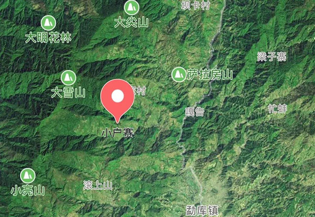 2021年小戶賽古樹秋茶有什么特點？