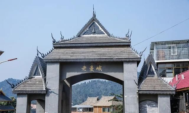 2021年老曼峨古樹秋茶特點(diǎn)？