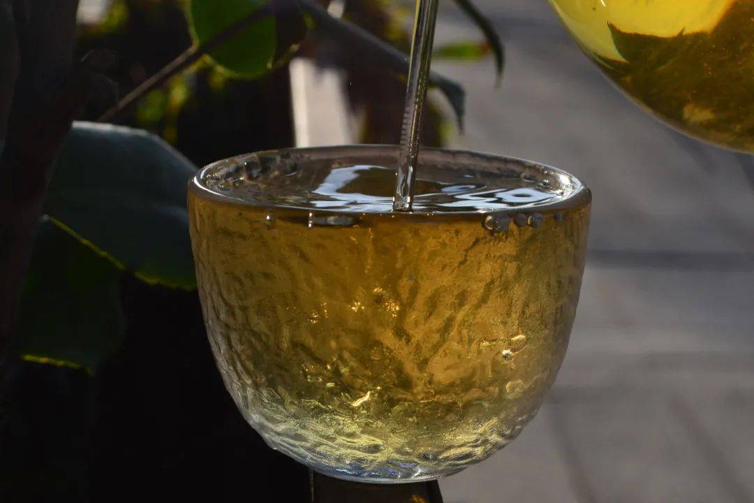 2021班章茶區(qū)壩卡竜古樹秋茶口感是什么？