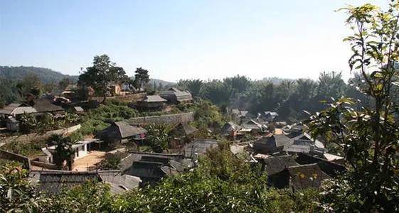 2021年班章茶區(qū)壩卡竜古樹秋茶多少錢一公斤？