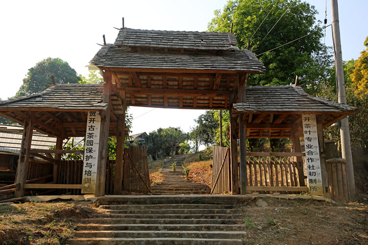 2021年賀開古樹秋茶特點？