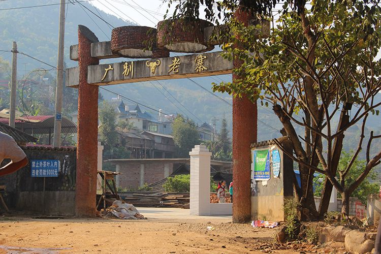 2021年廣別老寨古樹秋茶口感？