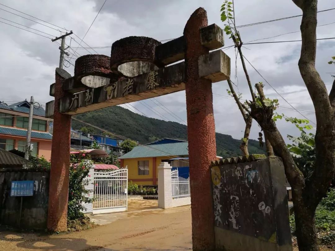 2021年廣別老寨古樹秋茶多少錢一公斤？