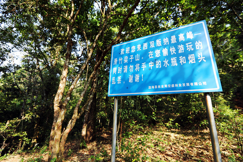 2021年滑竹梁子古樹秋茶價格？