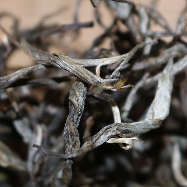 2021年帕沙古樹(shù)秋茶，你了解多少？