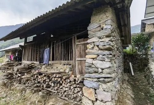 2022年景谷黃草壩古樹春茶特點(diǎn)是什么？