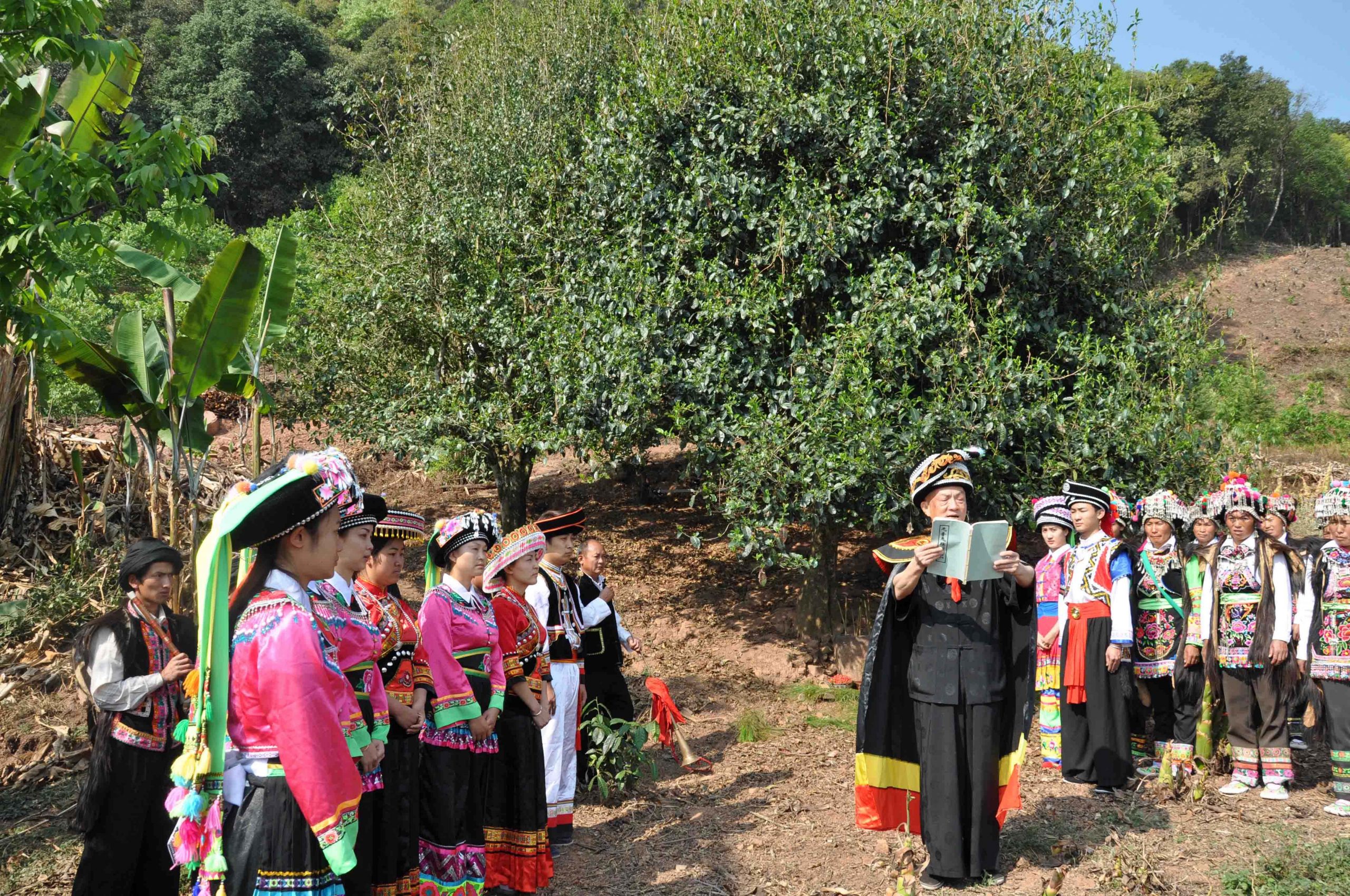 2022年景東御筆古樹春茶多少錢一公斤？