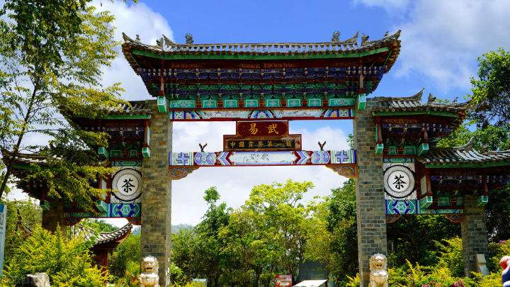 2022年易武正山在哪？易武正山是什么意思？