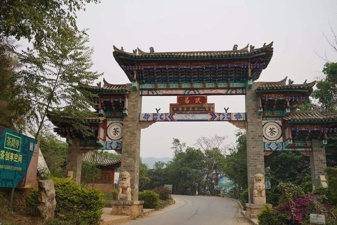 2022年易武正山古樹春茶特點(diǎn)？