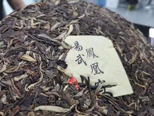 2022年鳳凰窩古樹高桿，鳳凰筑巢的地方