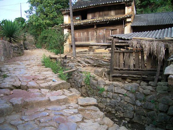 2022年蠻磚古樹春茶特點？