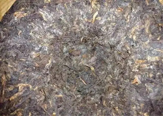 2022年普洱茶受潮發(fā)霉了怎么辦？